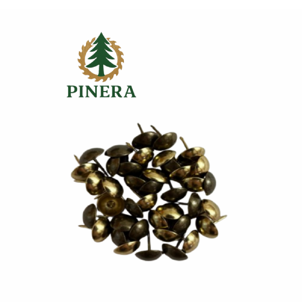 پونز.webp
